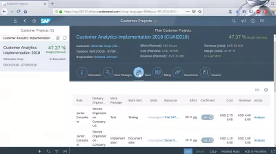 Hoe een klantproject in SAP Cloud analyseren? : Analyseren van een klantproject in SAP Cloud
