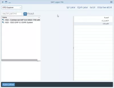 تغيير لغة تسجيل الدخول SAP NetWeaver في 2 خطوات سهلة : تسجيل الدخول SAP باللغة العربية