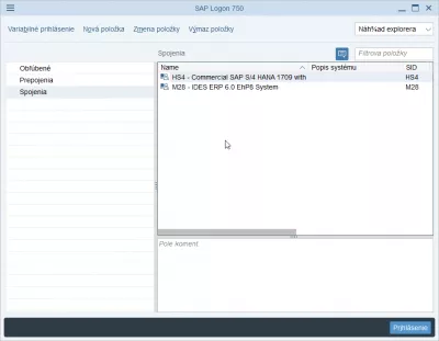 تغيير لغة تسجيل الدخول SAP NetWeaver في 2 خطوات سهلة : تسجيل الدخول SAP باللغة السلوفاكية
