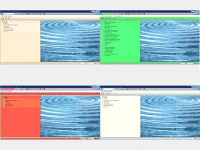 Kaip pakeisti spalvą SAP GUI : SAP sistemos langai su skirtingomis spalvomis