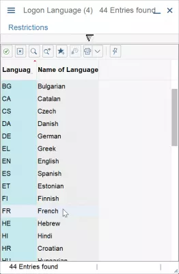 SAP GUI: kuidas keelt muuta? Tõrkeotsing : SAP-i sisselogimiskeele loend