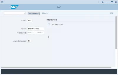 Cum Se Poate Reseta Și Modifica Parola SAP? : Parolă nouă pentru parolă pe ecranul de conectare SAP
