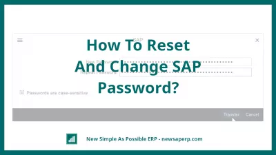 Jak Obnovit A Změnit Heslo SAP? : Formulář pro změnu hesla SAP