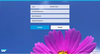 Sådan Nulstilles Og Ændres SAP-Adgangskode? : SAP Fiori Password Change Interface