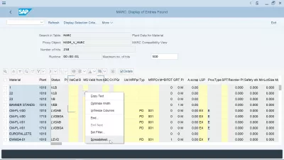 SAP څنګه د Excel سپریمشټ ته صادرول؟ : د SAP صادراتو سپریډشیټ ډیفالټ ب formatه بدل کړئ: په راپور کې ښي کلیک وکړئ ، د ډیفالټ صادراتو ب changeه بدلولو لپاره د سپریڈ شیټ انتخاب غوره کړئ