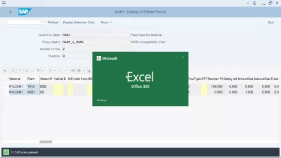 SAP, Ako Exportovať Do Tabuľky Programu Excel? : Export dát sa otvára v Excel Office 365
