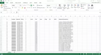 SAP raporunu Excel'e 3 kolay adımda nasıl aktarabilirim? : SAP excel'e ihracat