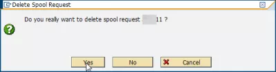 როგორ უნდა ექსპორტირებული SAP ანგარიში Excel- ში 3 მარტივ ნაბიჯში? : Spool მოთხოვნის დადასტურების პოპ-ის წაშლა