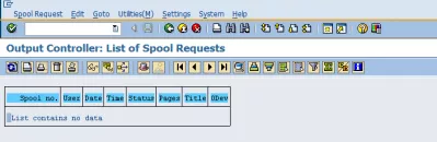 Як експортувати звіт SAP в Excel за допомогою 3 простих кроків? : Очистити список власних запитів на шпулі
