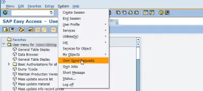 如何通过3个简单的步骤将SAP报告导出到Excel？ : SAP轻松访问自己的假脱机请求菜单