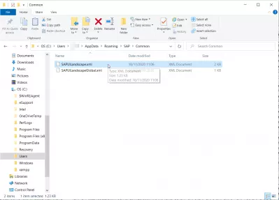 Saplogon.Ini Dosyası Windows 10'Da Nerede Saklanır? : SAP Sunucuları SAP 750 için Dullar 10'daki Konumu Listesi: Dosya SAP UI Peyzaj XML