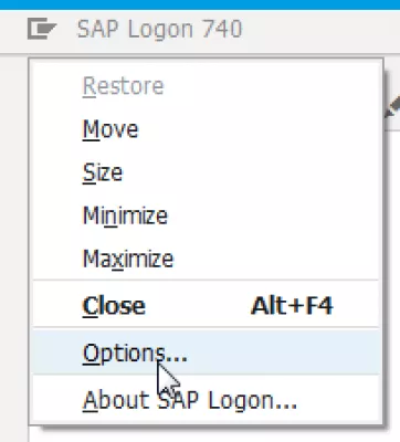 Saplogon.Ini Dosyası Windows 10'Da Nerede Saklanır? : SAP Logon açık Seçenekler… SAP 740'taki SAPlogon.ini menüsü