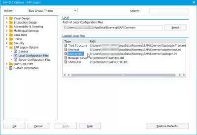 Saplogon.Ini Dosyası Windows 10'Da Nerede Saklanır? : SAP 740'ta SAPlogon.ini için SAP yerel yapılandırma dosyaları