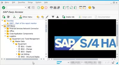 SAP میں تکنیکی نام دکھائیں : SAP مینو میں ٹ کوڈ دکھانے کے لئے