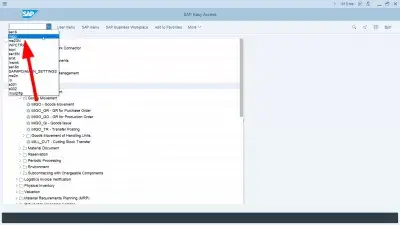 Zobraziť technické názvy v systéme SAP : SAP Technické názvy zobrazené v menu SAP a Transakciu MIGO prístupné v zozname posledných transakcií