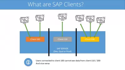 Què són els clients SAP i com interactuen entre ells?
